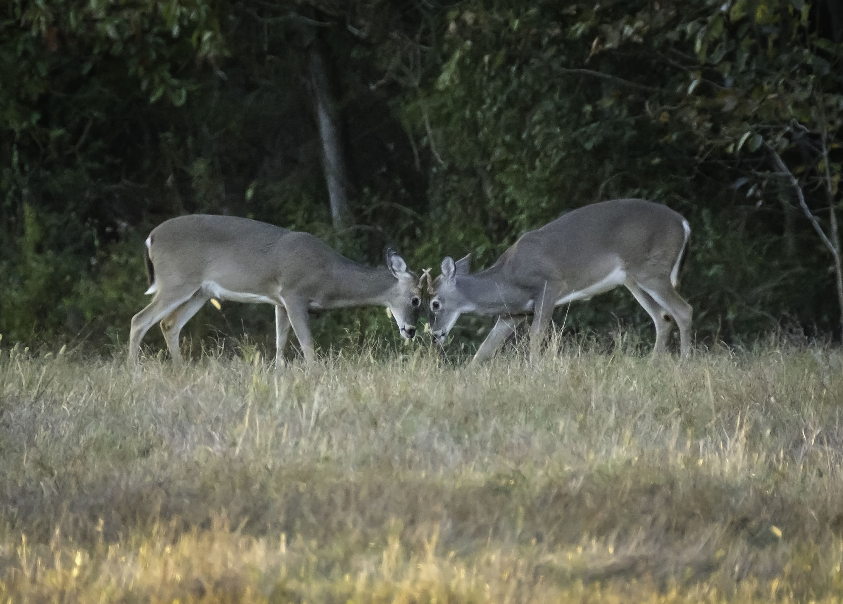 102217-nws-southern-exposure-3.jpg